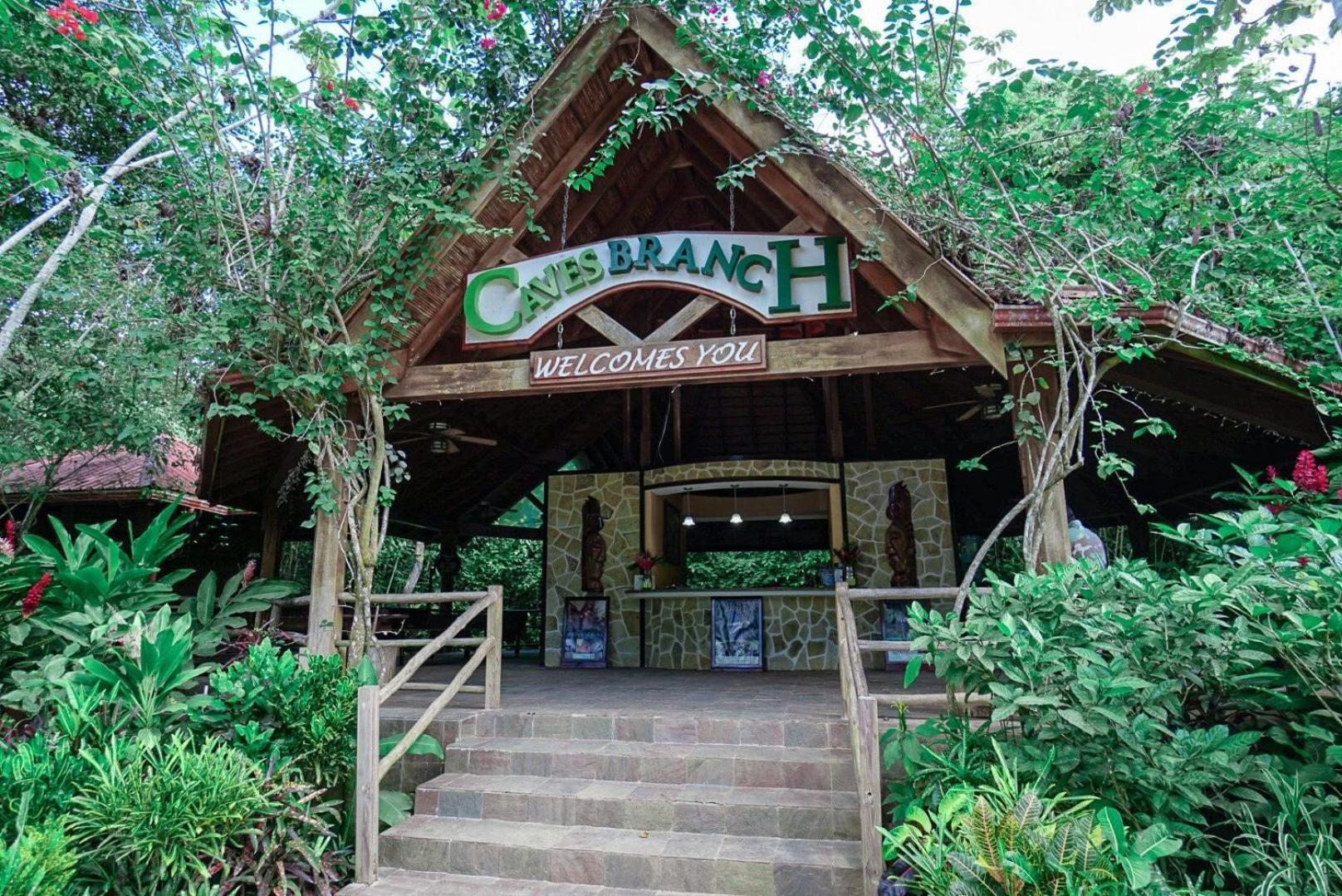 בלמופן Ian Anderson Caves Branch Jungle Lodge מראה חיצוני תמונה