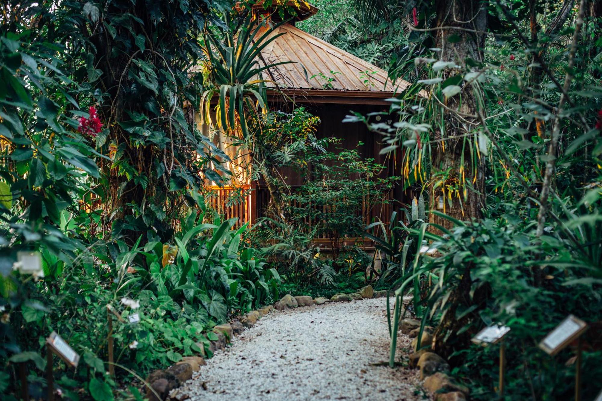 בלמופן Ian Anderson Caves Branch Jungle Lodge מראה חיצוני תמונה